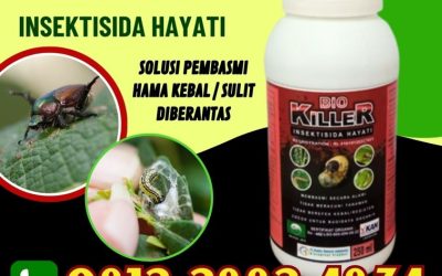 HARGA KHUSUS! WA 0812*2882*4834, GROSIR Insektisida Pesisir Selatan