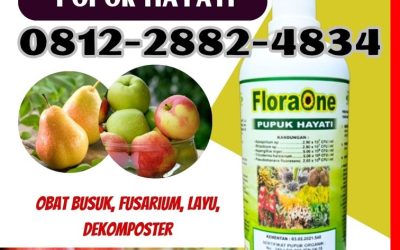HARGA KHUSUS! 081228824834, GROSIR Pupuk Tricoderma Pesisir Selatan, Pupuk Trichoderma Cair Painan, Pupuk Hayati Cair Solok