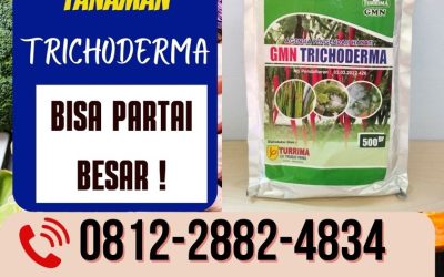 BISA PARTAI! 0812-2882-4834 Grosir Pupuk Trichoderma Cilacap, Jual GMN Trichoderma Demak, Supplier Tricoderma Purwodadi