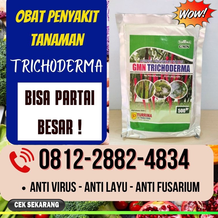 Grosir Pupuk Trichoderma Cilacap, Jual GMN Trichoderma Demak, Supplier Tricoderma Purwodadi, Suplier Tricoderma Harzianum Jepara, Pusat Trichoderma Harzianum Karanganyar, Distributor Pupuk Trichoderma Grobogan, Produsen GMN Trichoderma Kebumen, Pabrik Tricoderma Kendal, Agen Tricoderma Harzianum Klaten, Harga Trichoderma Harzianum Kudus