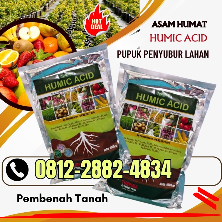 HARGA Asam Humat Pembenah Tanah Bojonegoro, AGEN Asam Humat Pupuk Bondowoso, Asam Humat Terbaik Gresik, Asam Humat 1kg Jember, Asam Humat, Pembenah Tanah, Pembenah Tanah, Pupuk Pembenah Tanah, Pupuk Pembenah Tanah Terbaik, Pembenah Tanah Alami, Pembenah Tanah Asam Humat Bojonegoro