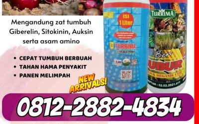 HARGA KHUSUS! WA : 0812-2882-4834, HARGA Pupuk Organik Cair Terbaik Aceh Barat