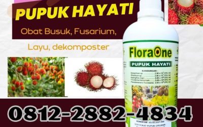 ALAMI! 0812*2882*4834, HARGA Pupuk Trichoderma Cair Painan, Pupuk Hayati Cair Solok, Pupuk Trichoderma Arosuka