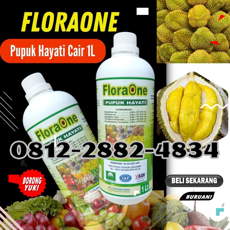HARGA trichoderma untuk penyakit Lubuk Basung, AGEN trichoderma untuk tanah Lima Puluh Kota, trichoderma untuk pisang Sarilamak, trichoderma untuk pepaya Pasaman, trichoderma untuk sawit, tricoderma harzianum, tricoderma harzianum, trichoderma harzianum, pupuk trichoderma sp, pupuk hayati trichoderma, Tricoderma Lubuk Basung
