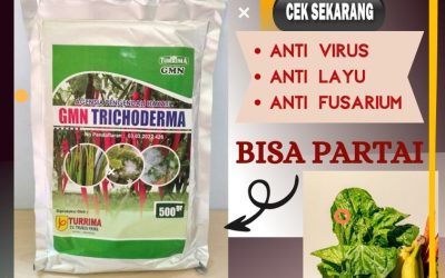 BISA COD! 0812-2882-4834 Harga Trichoderma Harzianum Brebes, Grosir Pupuk Trichoderma Cilacap, Jual GMN Trichoderma Demak