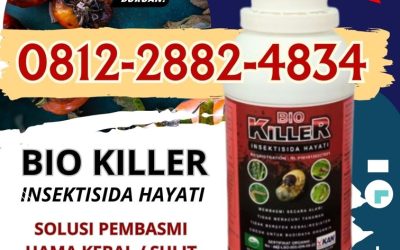 TERPERCAYA! 0812*2882*4834, JUAL Pembasmi Hama Parit Malintang, Insektisida Agam, Pestisida Lubuk Basung