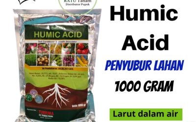 AMPUH! 0812-2882-4834, Jual Asam Humat Banyuwangi, Jual Asam Humat Blitar, Jual Asam Humat Kanigoro