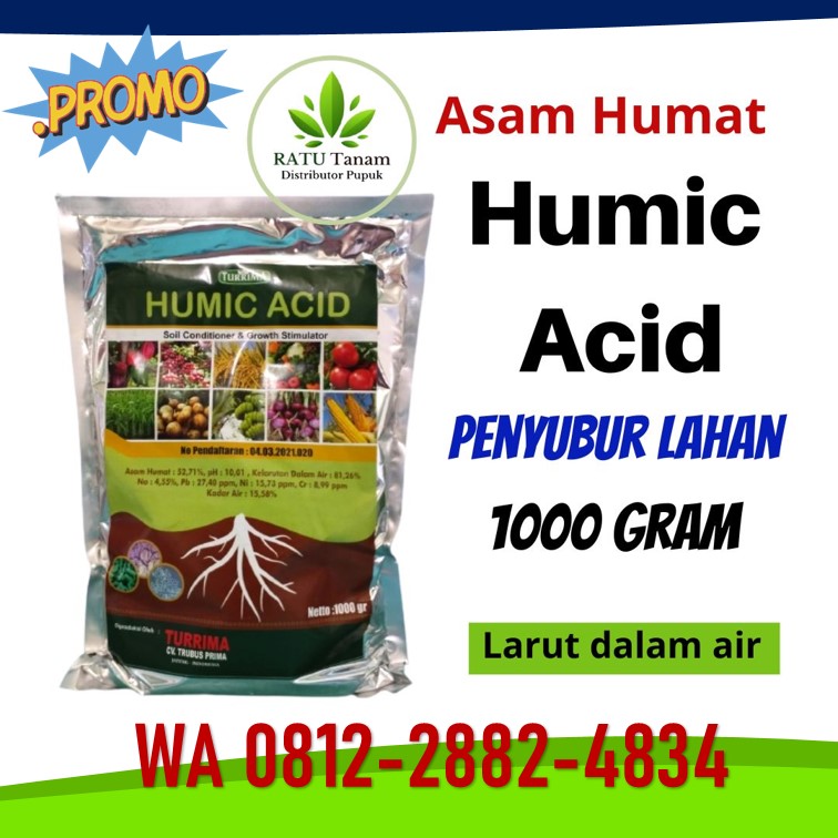 Jual Asam Humat Blitar, Jual Asam Humat Kanigoro, Jual Asam Humat Bojonegoro, Jual Asam Humat Bondowoso, Jual Asam Humat Gresik, Jual Asam Humat Jember, Jual Asam Humat Jombang, Jual Asam Humat Surabaya, Jual Asam Humat Bangkalan, Jual Asam Humat Banyuwangi