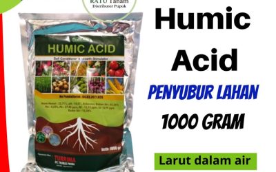 TERBAIK! 0812-2882-4834, Jual Asam Humat Bojonegoro, Jual Asam Humat Bondowoso, Jual Asam Humat Gresik