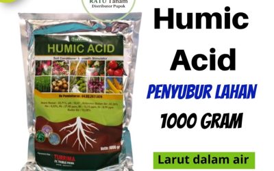 PROMO! 0812-2882-4834, Jual Asam Humat Surabaya, Jual Asam Humat Bangkalan, Jual Asam Humat Banyuwangi