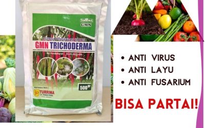 OPEN RESELLER! 0812-2882-4834 Jual GMN Trichoderma Demak, Supplier Tricoderma Purwodadi, Suplier Tricoderma Harzianum Jepara