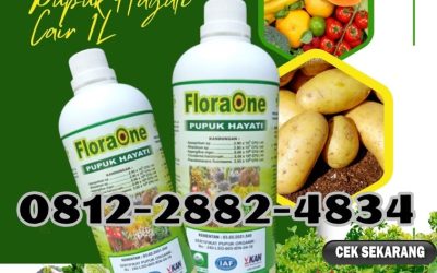 TERLARIS! 0812*2882*4834, PRODUSEN Pupuk Trichoderma Cair Batusangkar, Pupuk Hayati Cair Padang Pariaman, Pupuk Trichoderma Parit Malintang