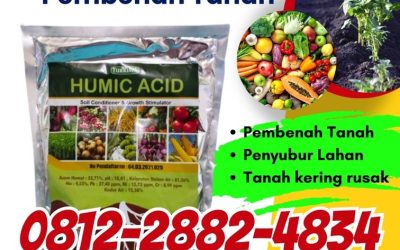 SEDANG PROMO! 0812-2882-4834, PUSAT Asam Humat Bangkalan, Asam Humat Banyuwangi, Asam Humat Blitar