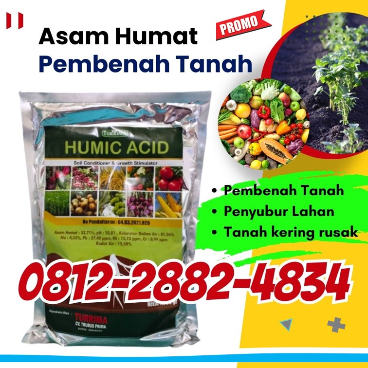 SEDANG PROMO! 0812-2882-4834, PUSAT Asam Humat Bangkalan, Asam Humat Banyuwangi, Asam Humat Blitar