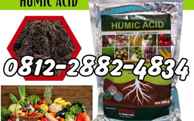 KUALITAS TERUJI! 0812-2882-4834, PUSAT Asam Humat Lumajang, Asam Humat Madiun, Asam Humat Magetan