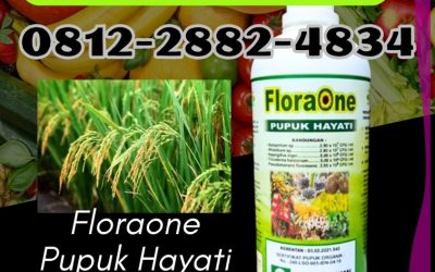 KUALITAS TERUJI! 081228824834, PUSAT Pupuk Hayati Cair Padang Pariaman, Pupuk Trichoderma Parit Malintang, Trichoderma Agam