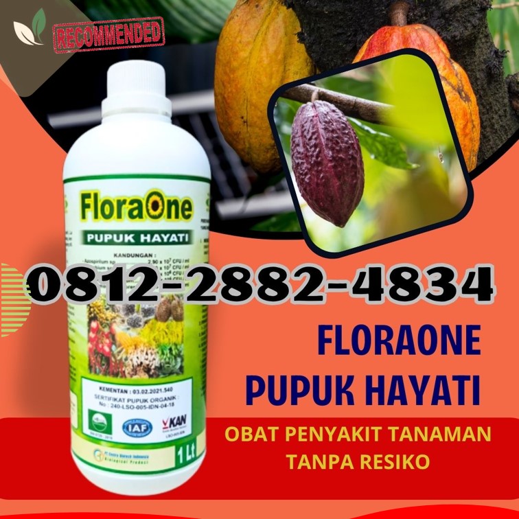 PUSAT Trichoderma Sumatera Barat , Tricoderma Padang, Pupuk Tricoderma Pesisir Selatan