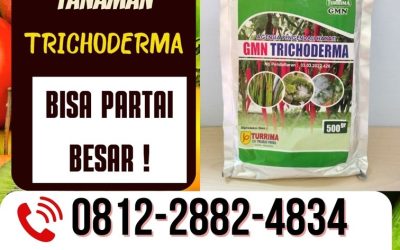 TERBAIK! 0812-2882-4834 Pabrik Tricoderma Blora, Agen Tricoderma Harzianum Boyolali, Harga Trichoderma Harzianum Brebes