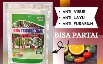 TERBUKTI! 0812-2882-4834 Produsen GMN Trichoderma Batang, Pabrik Tricoderma Blora, Agen Tricoderma Harzianum Boyolali