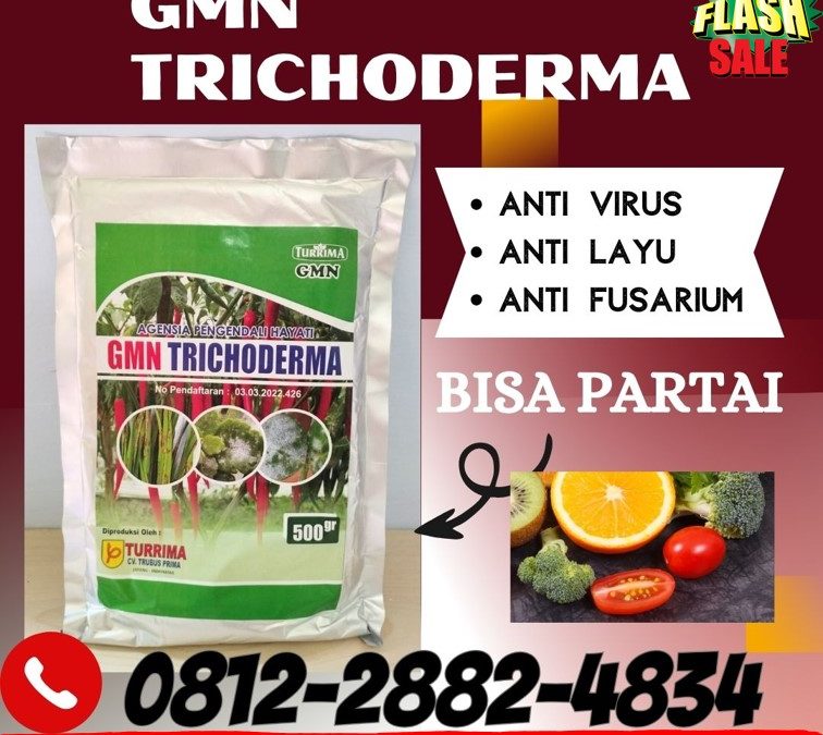 TERBUKTI! 0812-2882-4834 Produsen GMN Trichoderma Batang, Pabrik Tricoderma Blora, Agen Tricoderma Harzianum Boyolali