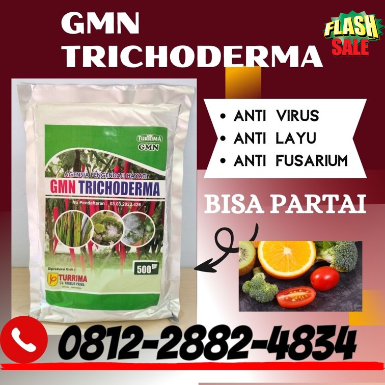 Produsen GMN Trichoderma Batang, Pabrik Tricoderma Blora, Agen Tricoderma Harzianum Boyolali, Harga Trichoderma Harzianum Brebes, Grosir Pupuk Trichoderma Cilacap, Jual GMN Trichoderma Demak, Supplier Tricoderma Purwodadi, Suplier Tricoderma Harzianum Jepara, Pusat Trichoderma Harzianum Karanganyar, Distributor Pupuk Trichoderma Grobogan