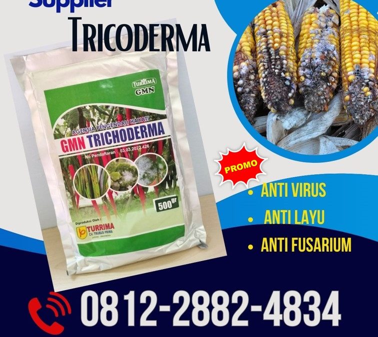 Produsen GMN Trichoderma Kebumen, Pabrik Tricoderma Kendal, Agen Tricoderma Harzianum Klaten, Harga Trichoderma Harzianum Kudus, Grosir Pupuk Trichoderma Magelang, Jual GMN Trichoderma Mungkid, Supplier Tricoderma Pati, Suplier Tricoderma Harzianum Pemalang, Pusat Trichoderma Harzianum Purbalingga, Distributor Pupuk Trichoderma Purworejo