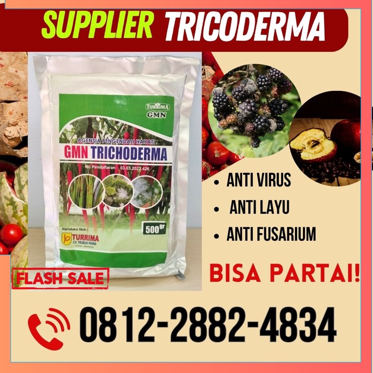 Pusat Trichoderma Harzianum Banyumas, Distributor Pupuk Trichoderma Purwokerto, Produsen GMN Trichoderma Batang, Pabrik Tricoderma Blora, Agen Tricoderma Harzianum Boyolali, Harga Trichoderma Harzianum Brebes, Grosir Pupuk Trichoderma Cilacap, Jual GMN Trichoderma Demak, Supplier Tricoderma Purwodadi, Suplier Tricoderma Harzianum Jepara