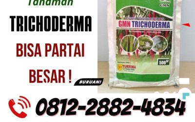 ORGANIK! 0812-2882-4834 Pusat Trichoderma Harzianum Karanganyar, Distributor Pupuk Trichoderma Grobogan, Produsen GMN Trichoderma Kebumen