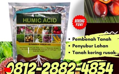 BISA PARTAI! 0812-2882-4834, SUPPLIER Asam Humat Kediri, Asam Humat Lamongan, Asam Humat Lumajang