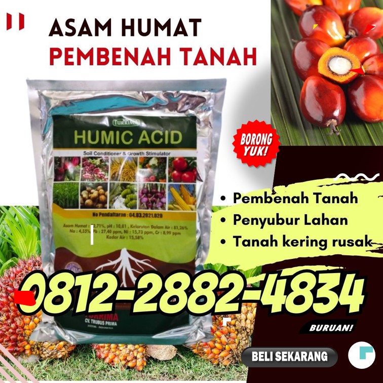 SUPPLIER Pembenah Tanah Kediri, PRODUSEN Pupuk Pembenah Tanah Lamongan, Pupuk Pembenah Tanah Terbaik Lumajang, Pembenah Tanah Alami Madiun, Pembenah Tanah Asam Humat, Asam Humat Pembenah Tanah, Asam Humat Pembenah Tanah, Pembenah Tanah Organik, Pembenah Tanah Terbaik, Asam Humat Untuk Anggur, Asam Humat Untuk Cabe Kediri