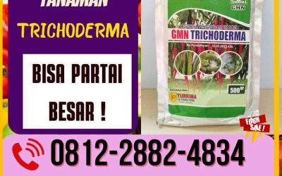DISKON! 0812-2882-4834 Suplier Tricoderma Harzianum Banjarnegara, Pusat Trichoderma Harzianum Banyumas, Distributor Pupuk Trichoderma Purwokerto