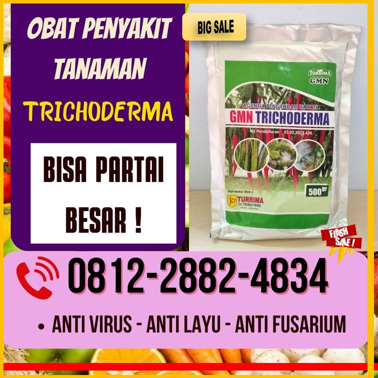 Suplier Tricoderma Harzianum Banjarnegara, Pusat Trichoderma Harzianum Banyumas, Distributor Pupuk Trichoderma Purwokerto, Produsen GMN Trichoderma Batang, Pabrik Tricoderma Blora, Agen Tricoderma Harzianum Boyolali, Harga Trichoderma Harzianum Brebes, Grosir Pupuk Trichoderma Cilacap, Jual GMN Trichoderma Demak, Supplier Tricoderma Purwodadi