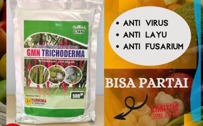 TERMURAH! 0812-2882-4834 Suplier Tricoderma Harzianum Jepara, Pusat Trichoderma Harzianum Karanganyar, Distributor Pupuk Trichoderma Grobogan