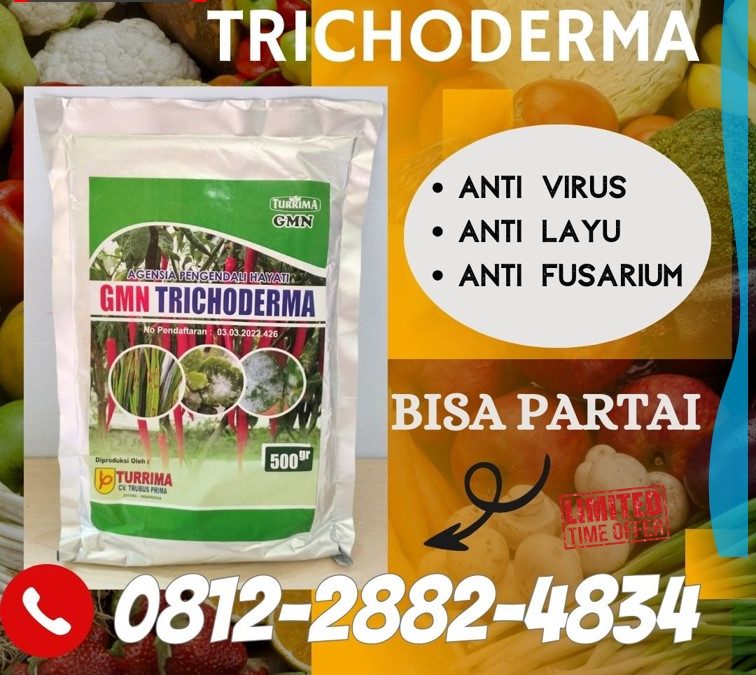 TERMURAH! 0812-2882-4834 Suplier Tricoderma Harzianum Jepara, Pusat Trichoderma Harzianum Karanganyar, Distributor Pupuk Trichoderma Grobogan