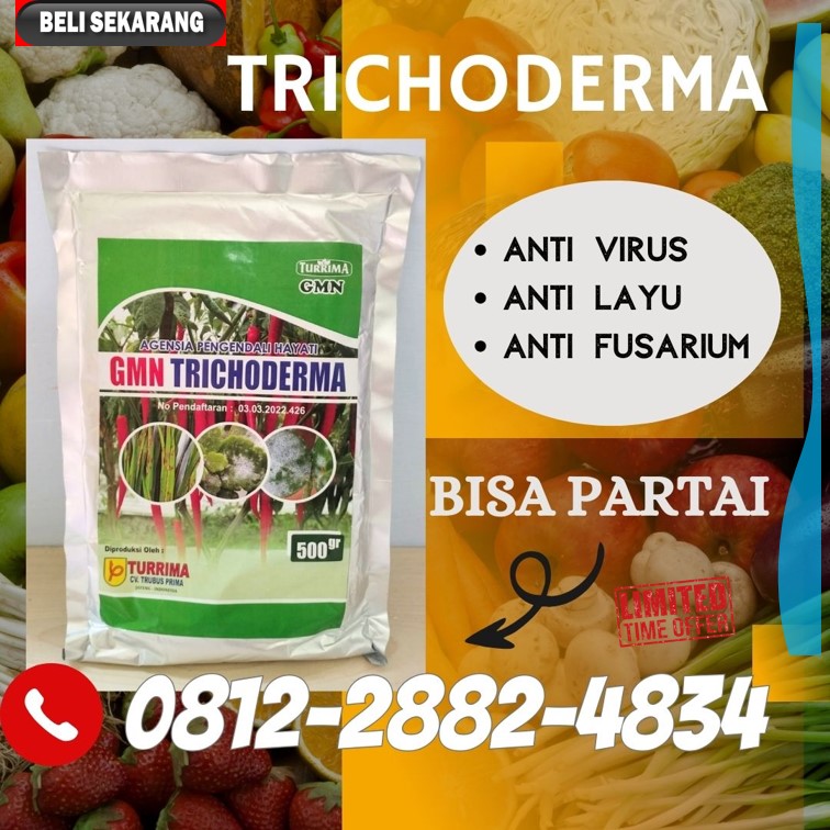 Suplier Tricoderma Harzianum Jepara, Pusat Trichoderma Harzianum Karanganyar, Distributor Pupuk Trichoderma Grobogan, Produsen GMN Trichoderma Kebumen, Pabrik Tricoderma Kendal, Agen Tricoderma Harzianum Klaten, Harga Trichoderma Harzianum Kudus, Grosir Pupuk Trichoderma Magelang, Jual GMN Trichoderma Mungkid, Supplier Tricoderma Pati