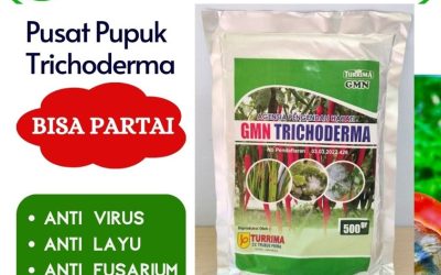 ALAMI! 0812-2882-4834 Supplier Tricoderma Purwodadi, Suplier Tricoderma Harzianum Jepara, Pusat Trichoderma Harzianum Karanganyar