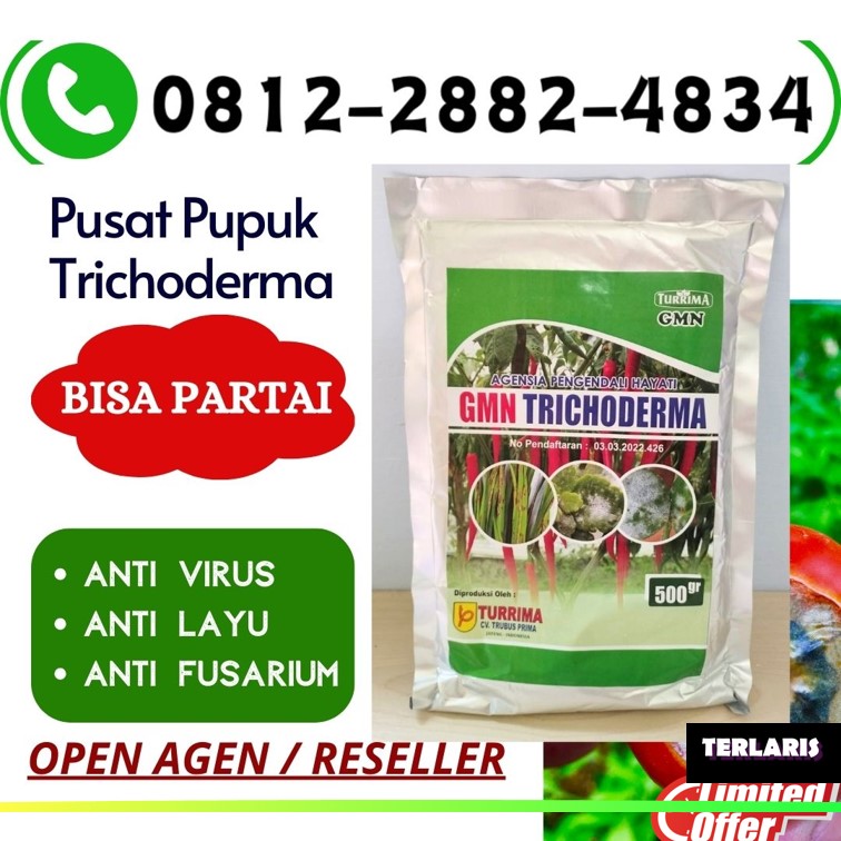 Supplier Tricoderma Purwodadi, Suplier Tricoderma Harzianum Jepara, Pusat Trichoderma Harzianum Karanganyar, Distributor Pupuk Trichoderma Grobogan, Produsen GMN Trichoderma Kebumen, Pabrik Tricoderma Kendal, Agen Tricoderma Harzianum Klaten, Harga Trichoderma Harzianum Kudus, Grosir Pupuk Trichoderma Magelang, Jual GMN Trichoderma Mungkid