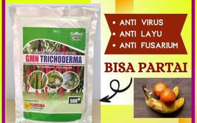 PROMO! 0812-2882-4834 Supplier Tricoderma Semarang, Suplier Tricoderma Harzianum Banjarnegara, Pusat Trichoderma Harzianum Banyumas