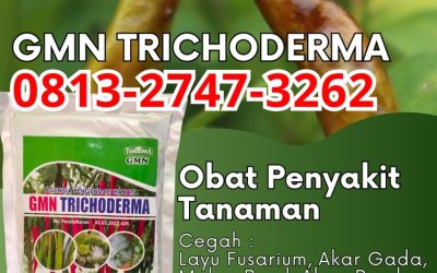 TERBUKTI! 0813-2747-3262 Pusat Trichoderma Harzianum Brebes, Distributor Pupuk Trichoderma Cilacap, Produsen GMN Trichoderma Demak