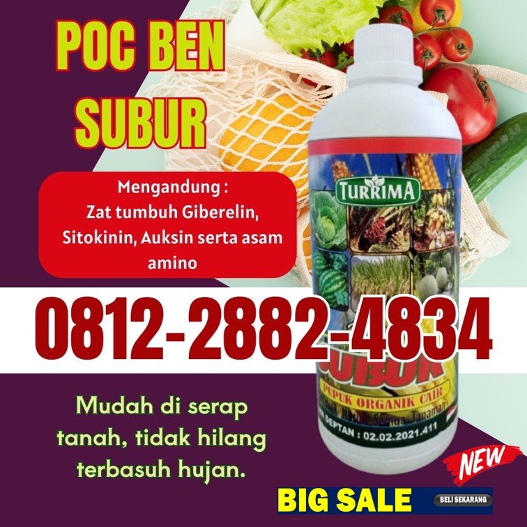 TOKO Pupuk Organik Cair Terbaik Aceh Besar, SUPPLIER Pupuk Organik Untuk Sawit Kota Jantho, Pupuk Organik Anggur Aceh Jaya, Pupuk Organik Asam Amino Calang, Pupuk Organik Alpukat, Pupuk Organik Untuk Anggur, Pupuk Organik Untuk Anggur, Pupuk Organik Buah, Pupuk Organik Bawang Merah, Pupuk Organik Booster Anggur, Pupuk Organik Durian