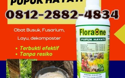 BISA COD! 081228824834, TOKO Tricoderma Muaro Sijunjung, Pupuk Tricoderma Tanah Datar, Pupuk Trichoderma Cair Batusangkar