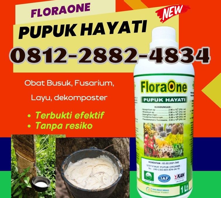 BISA COD! 081228824834, TOKO Tricoderma Muaro Sijunjung, Pupuk Tricoderma Tanah Datar, Pupuk Trichoderma Cair Batusangkar