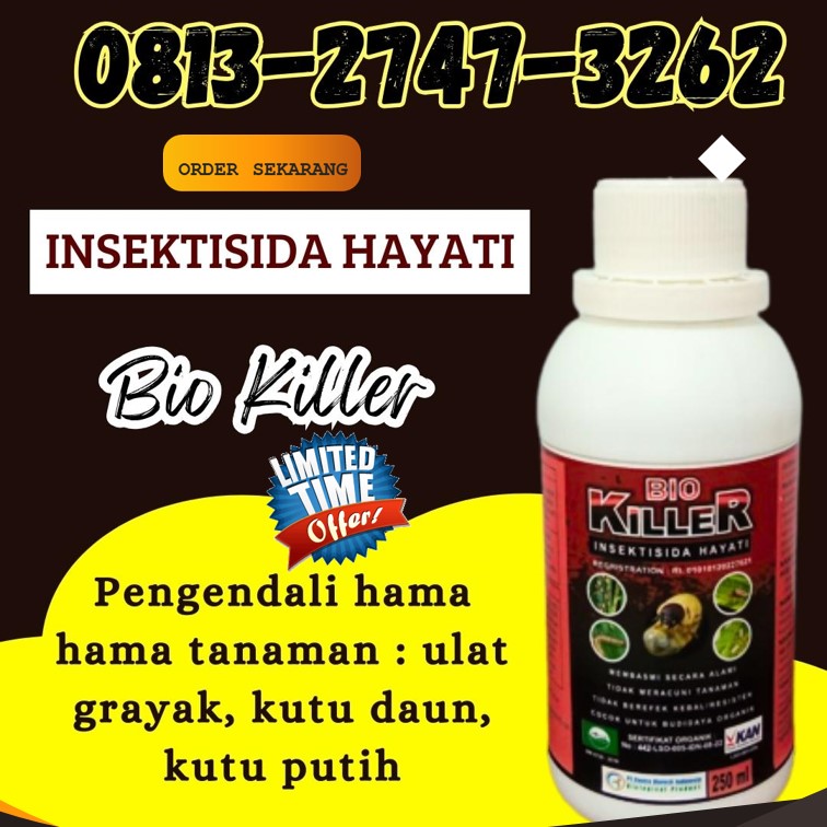 DISTRIBUTOR Insektisida Agam, AGEN Pestisida Lubuk Basung, Obat Pembasmi Hama Lima Puluh Kota