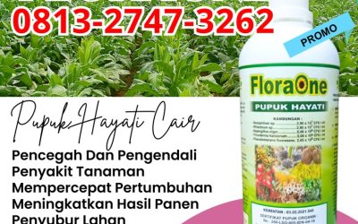 TERLARIS! 0813-2747-3262, DISTRIBUTOR Pupuk Trichoderma Cair Agam, Pupuk Hayati Cair Lubuk Basung, Pupuk Trichoderma Lima Puluh Kota