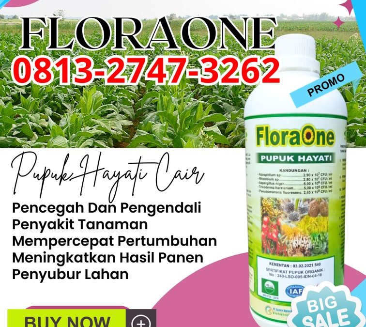 TERLARIS! 0813-2747-3262, DISTRIBUTOR Pupuk Trichoderma Cair Agam, Pupuk Hayati Cair Lubuk Basung, Pupuk Trichoderma Lima Puluh Kota