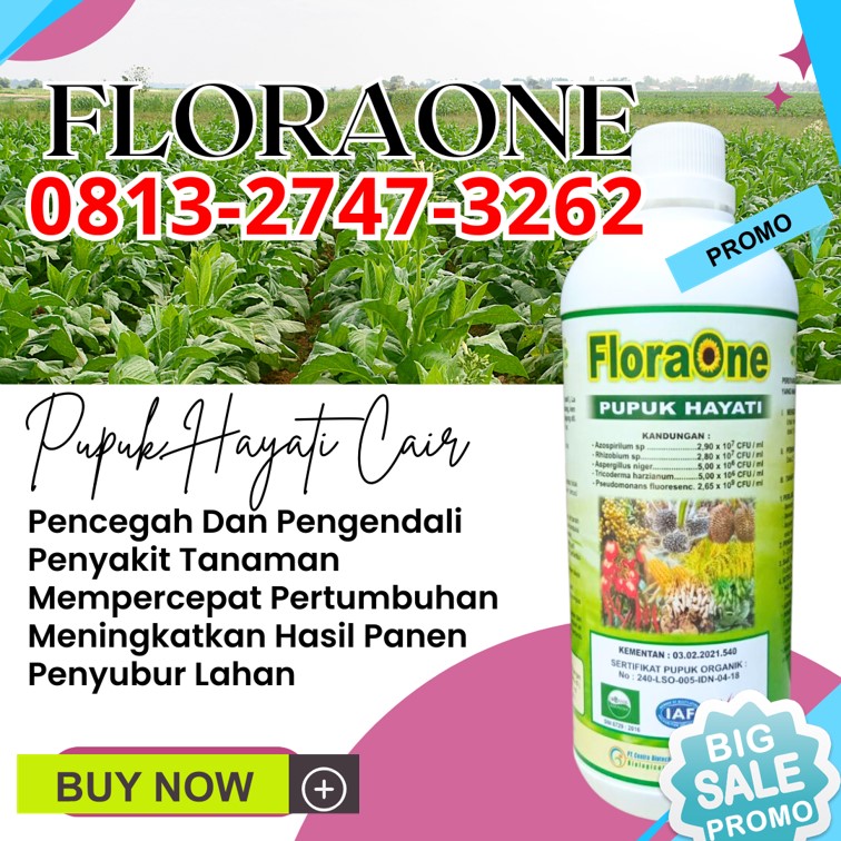 DISTRIBUTOR Pupuk Tricoderma Agam, AGEN Pupuk Trichoderma Cair Lubuk Basung, Pupuk Hayati Cair Lima Puluh Kota