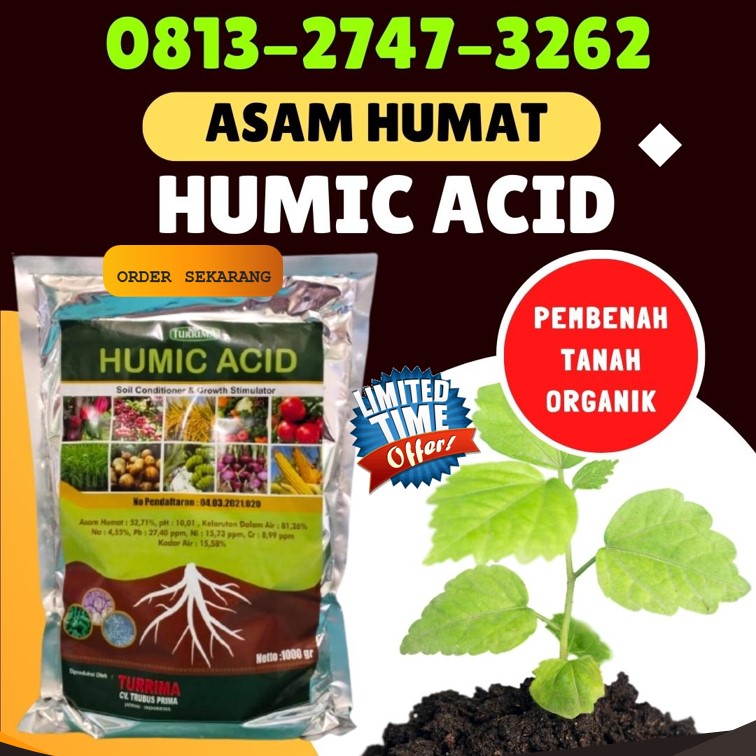 PRODUSEN Pembenah Tanah Organik Kademangan, PUSAT Pembenah Tanah Terbaik Gandusari, Asam Humat Untuk Anggur Baureno