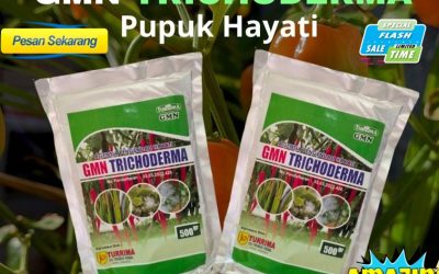 TERBARU! 0813-2747-3262 Pabrik Tricoderma Semarang, Agen Tricoderma Harzianum Banjarnegara, Harga Trichoderma Harzianum Banyumas