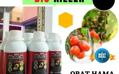 SEDANG PROMO 0813*2747*3262, AGEN Obat Pembasmi Hama Pulau Punjung, Obat Hama Solok Selatan, Pembasmi Hama Padang Aro