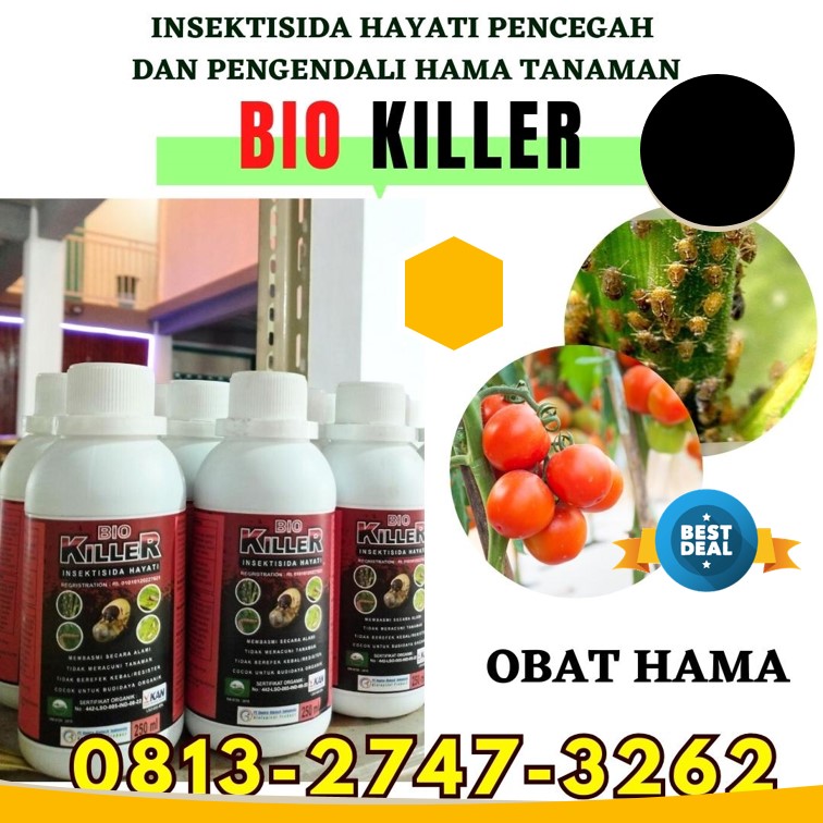 AGEN Pembasmi Hama Keong Alami Pulau Punjung, DISTRIBUTOR Pembasmi Hama Belalang Solok Selatan, Obat Pembasmi Hama Cengkeh Padang Aro